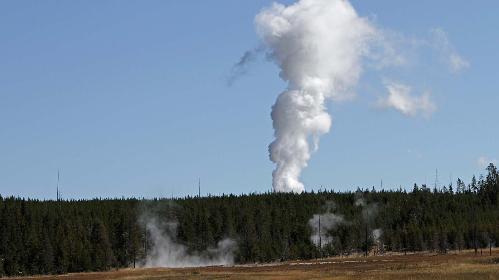 Steamboat Geyser.