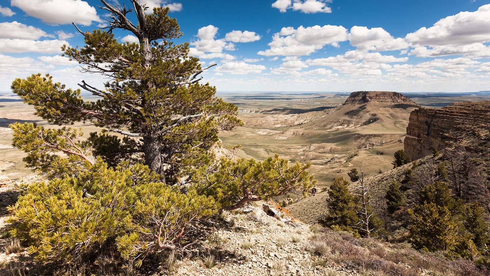 Steamboat Mountain Area of Critical Concern is part of the expansive BLM Rock Springs Resource Management Plan.