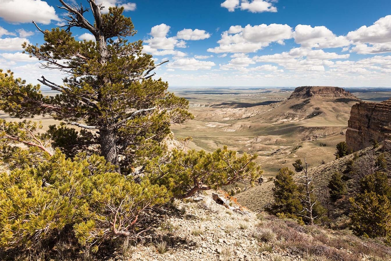 Steamboat Mountain Area of Critical Concern is part of the expansive BLM Rock Springs Resource Management Plan.