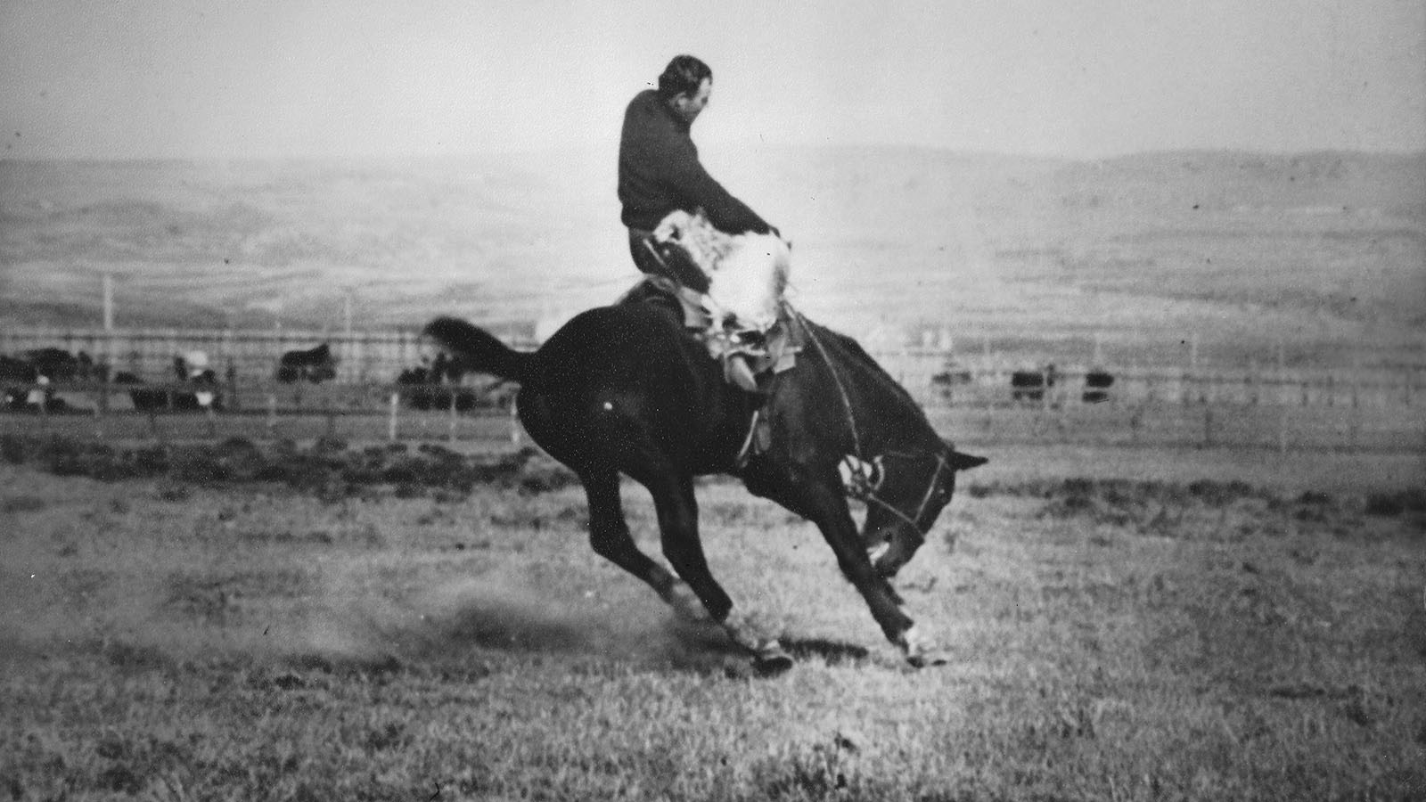 Guy Holt rides the legendary rodeo bronc Steamboat in 1903.