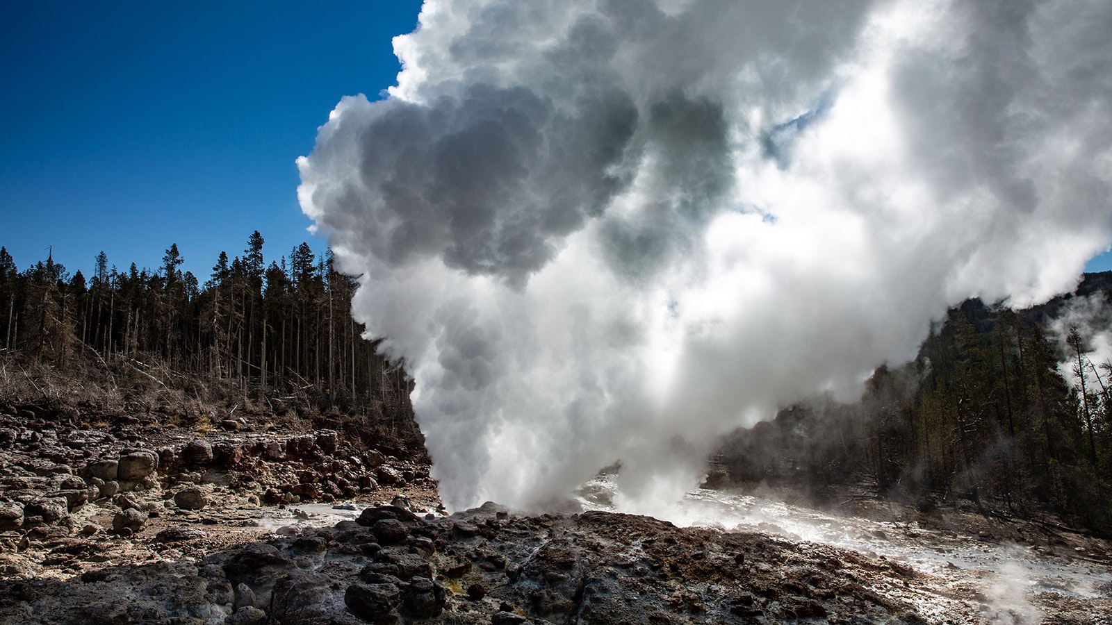 Steamboat Geyser is unpredictable, but has been fairly active in recent years.  Here it will erupt in September 2022.