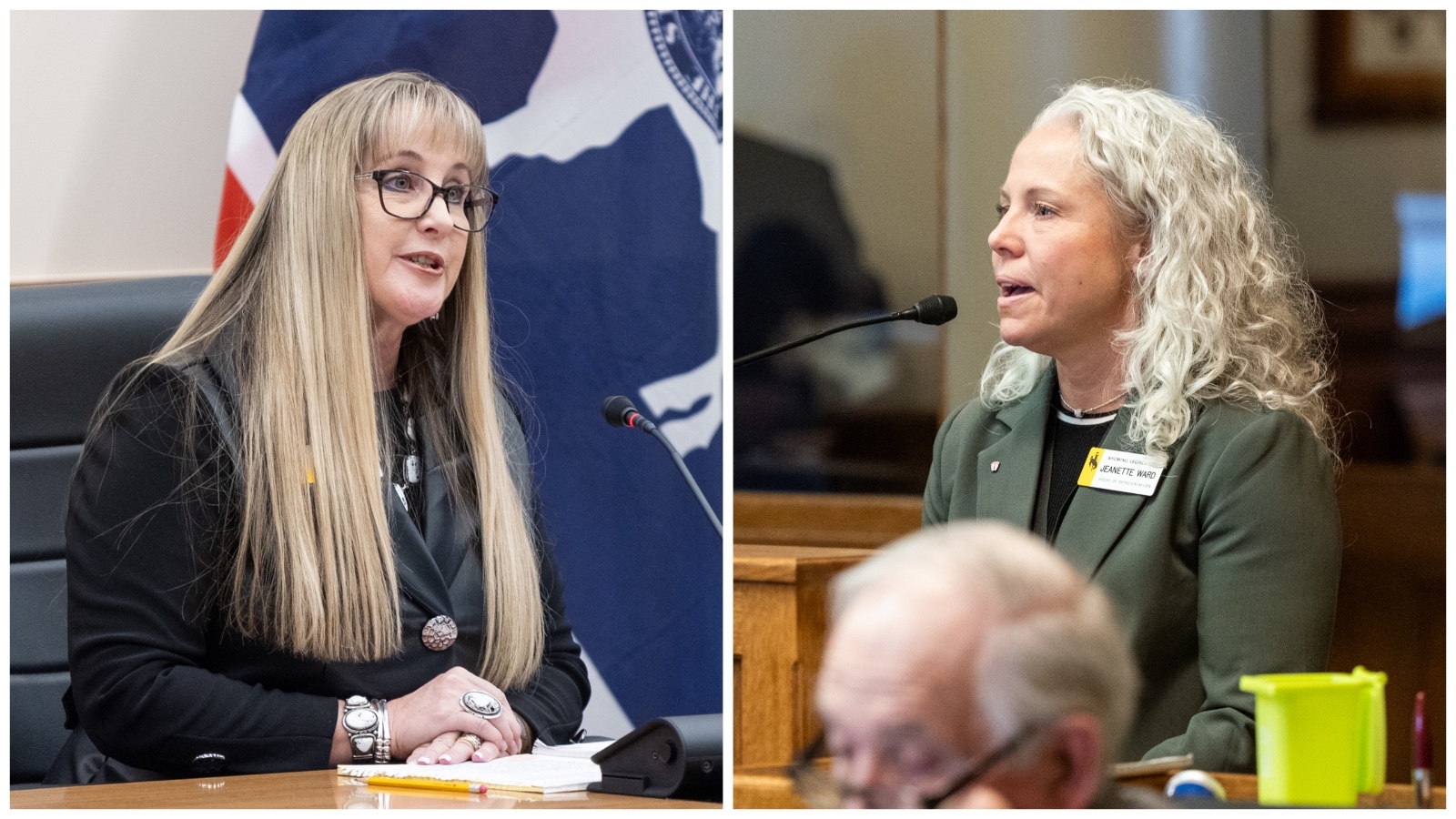 Sen. Cheri Steinmetz, R-Lingle, left, and Rep. Jeanette Ward, R-Casper