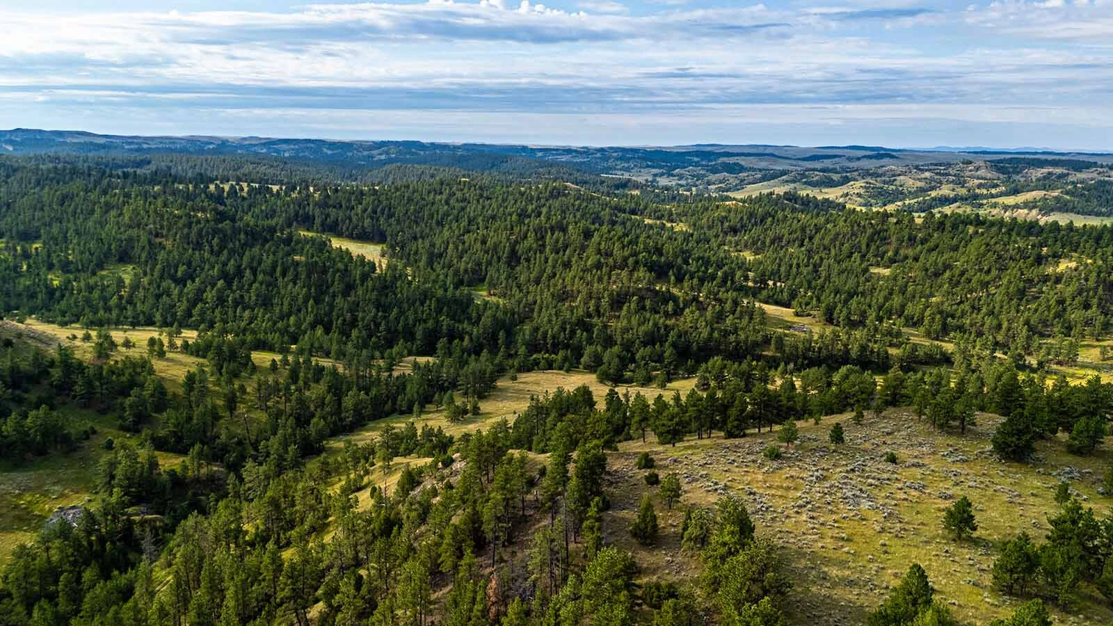 The 5,582-acre Steiner Ranch in northeast Wyoming, a premiere spot for hunting trophy bull elk and mule deer, has just been listed for sale at nearly $30 million.