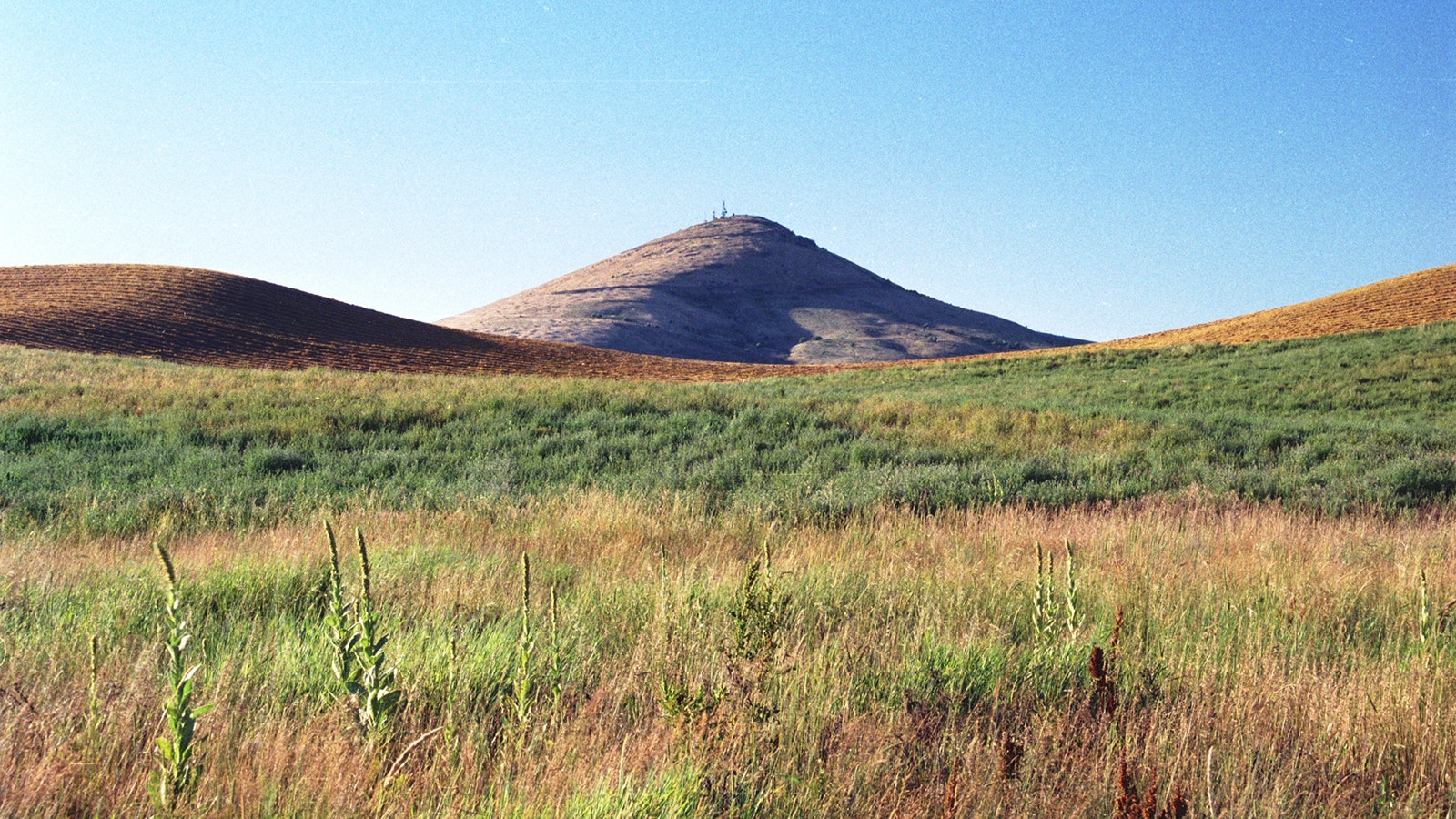 Steptoe Butte