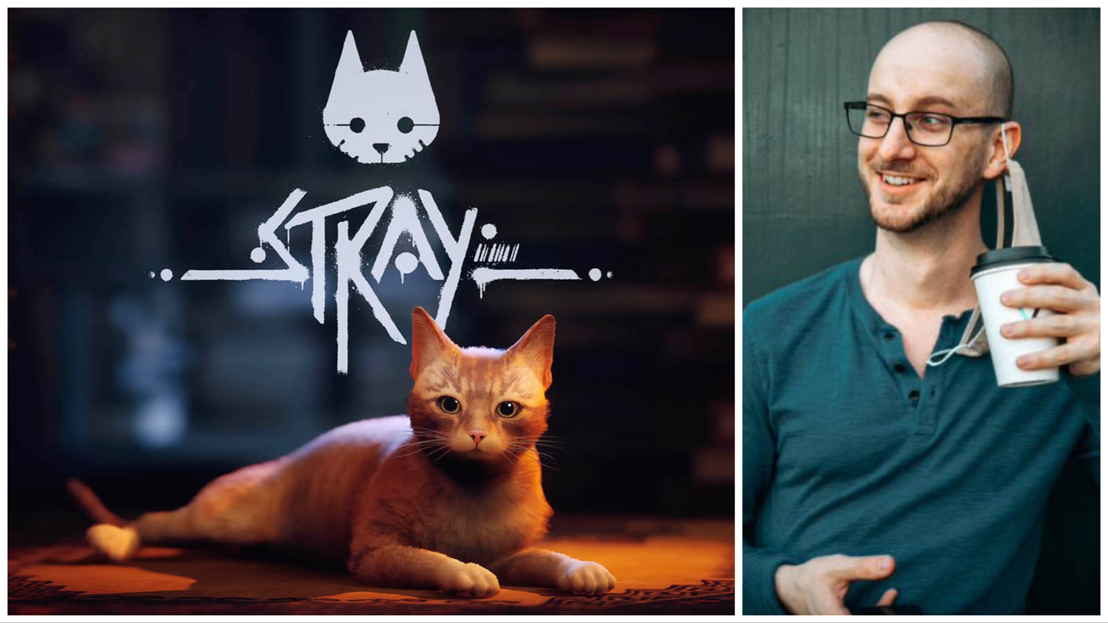 Steve Lerner stray 3 11 23