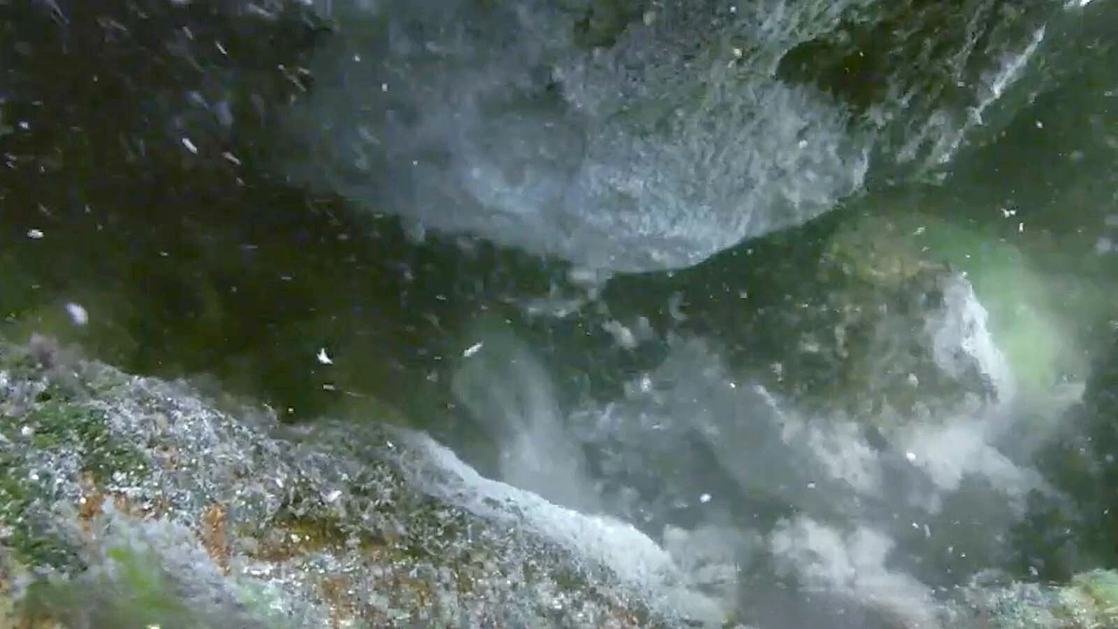 Most see just 5% of Yellowstone from roads and boardwalks. Bozeman filmmaker Stephen Quayle has spent 50 years filming the places most never reach. “It’s like a whole different world,” he said. “You literally wouldn’t know you’re on planet Earth.” There's also another rarely seen landscape under Yellowstone Lake.