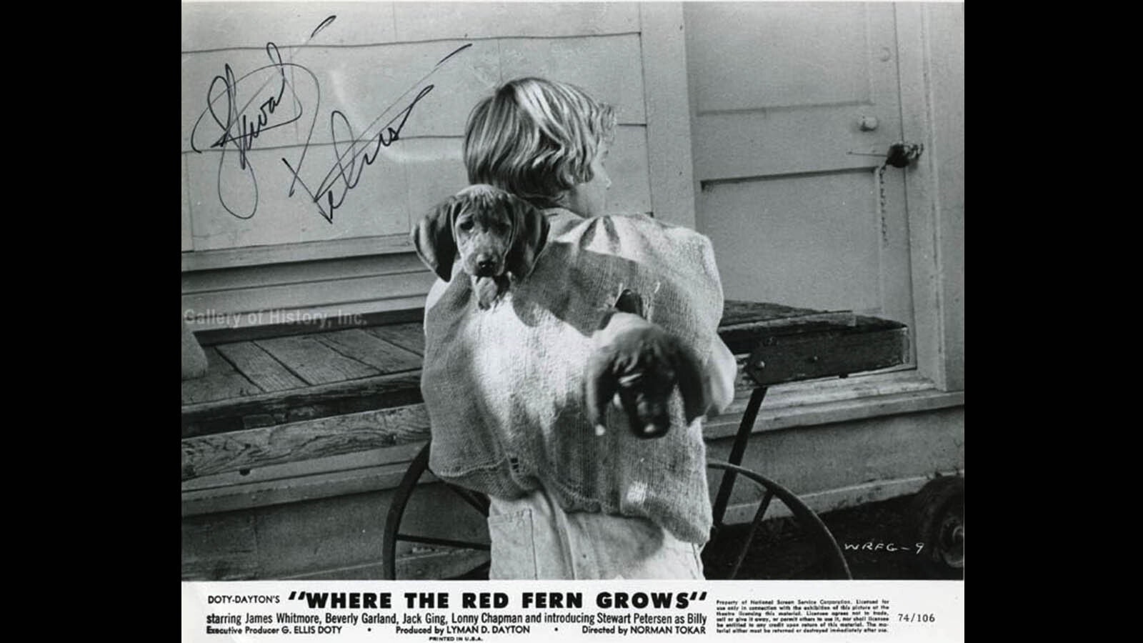 At autographed Stewart Petersen photo as Billy in “Where The Red Fern Grows.”