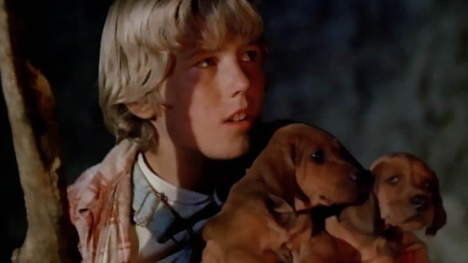 Stewart Petersen as Billy in the movie 1974 movie “Where The Red Fern Grows.”