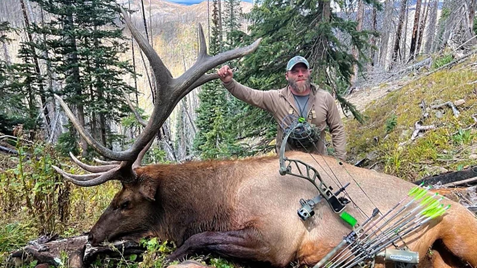 Stolen elk head 1 10 17 22