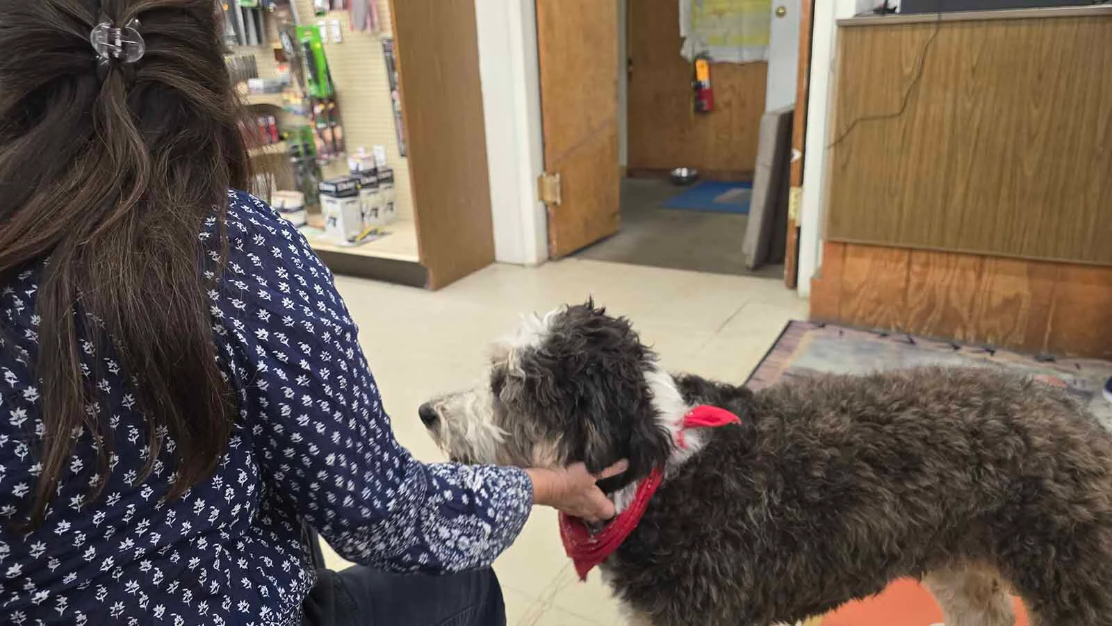 Zuri isn't shy about approaching patients while they wait for prescriptions, and it proves to be good therapy for many customers.