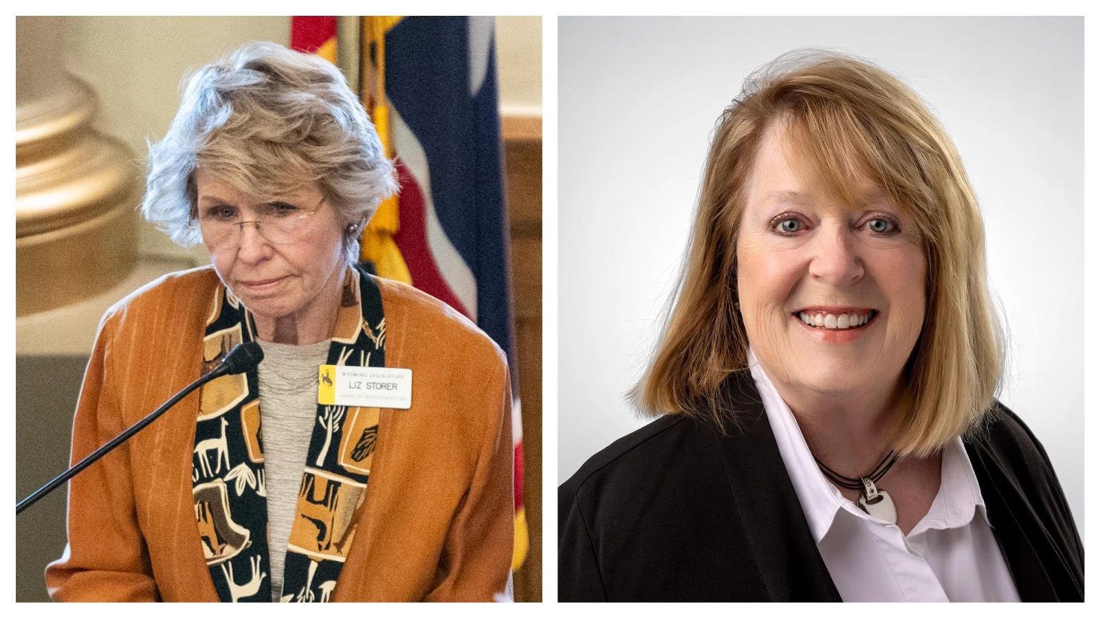 State Rep. Liz Storer, left, and Shannon Brennan.