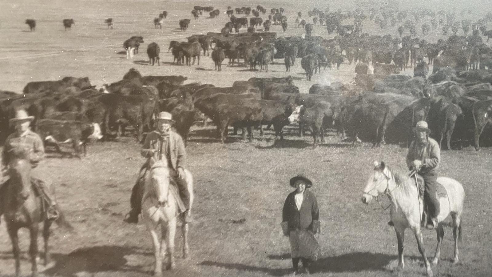 James Noble and his wife Pauline homesteaded a ranch in Cora, Wyoming, that is still ran by their direct descendants. The stories that Nobel told his sons and grandsons still live on in the family lore.