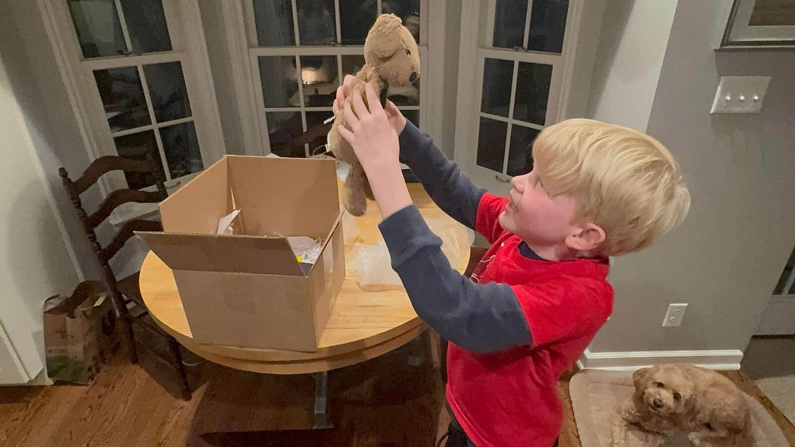 William Kay, 8, is reunited with Dog after it was lost at a rest stop along Interstate 80, then found by a Carbon County Sheriff's Office deputy and returned to him in St. Louis, Missouri.