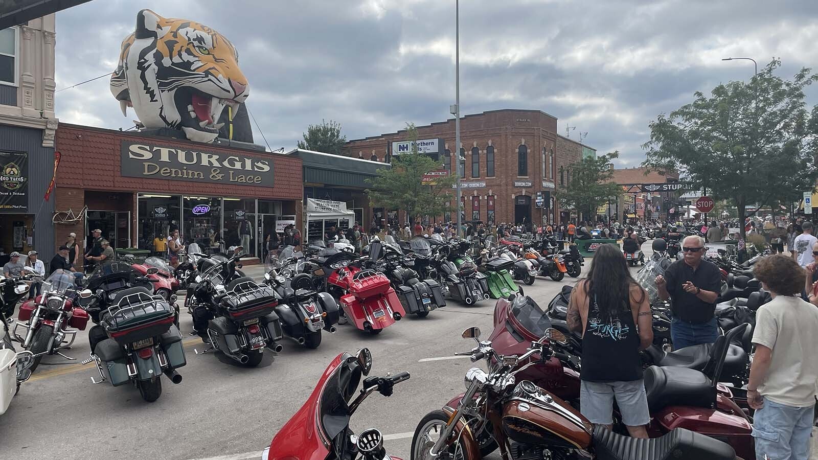 Bikers thunder through the Black Hills, turning roadways into a roaring spectacle for the 85th Sturgis Motorcycle Rally. As choppers, trikes and baggers rumble through the hills, the question remains: Does Sturgis still capture the spirit of rebellion?