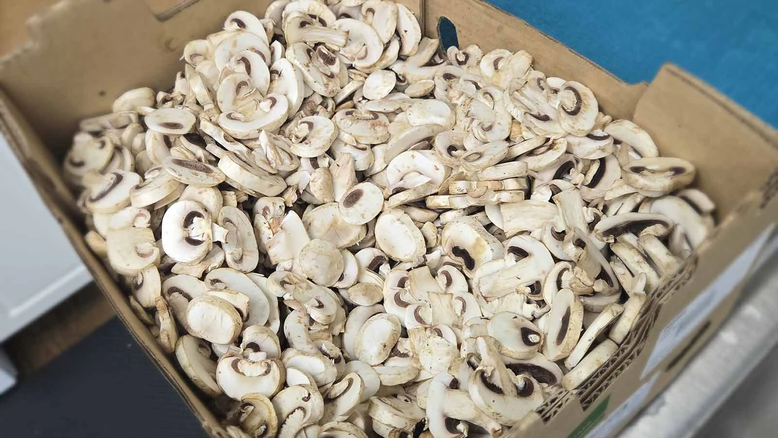 Sturgis breakfast Mushrooms for omelets 8 15 26