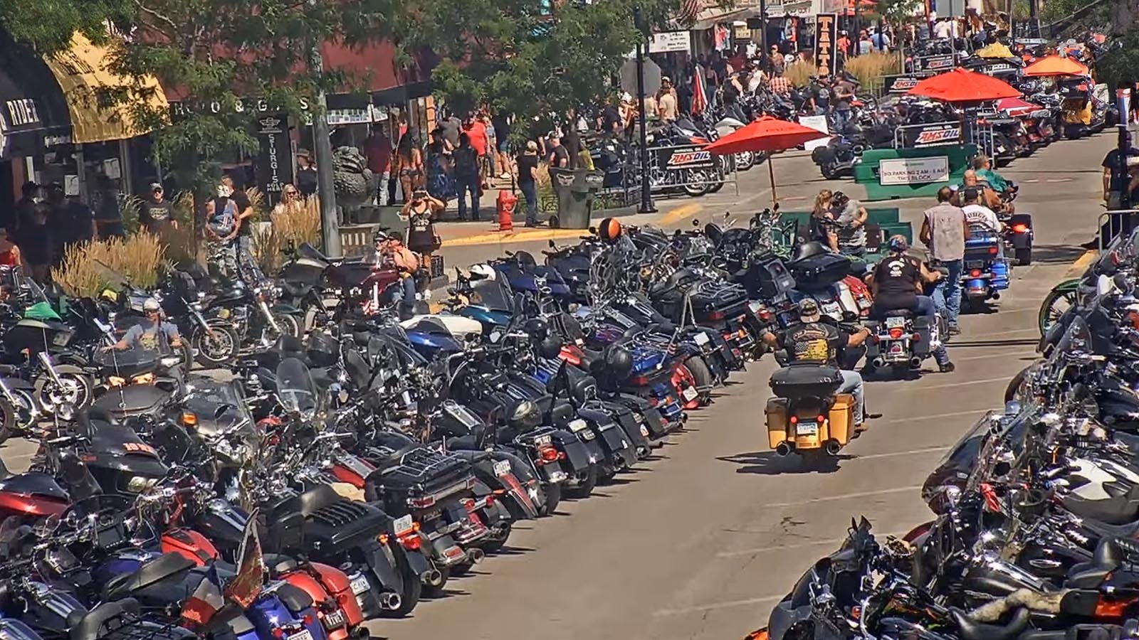 The 84th Sturgis Motorcycle Rally has packed the South Dakota town with Harley-Davidsons and all other brands of bikes.