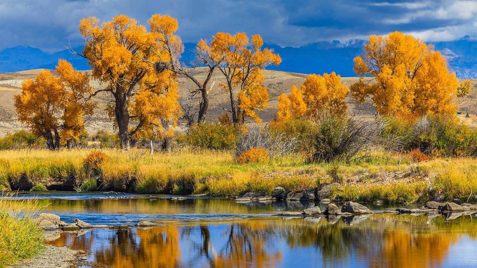 Fall colors pop around Sublette County, Wyoming.