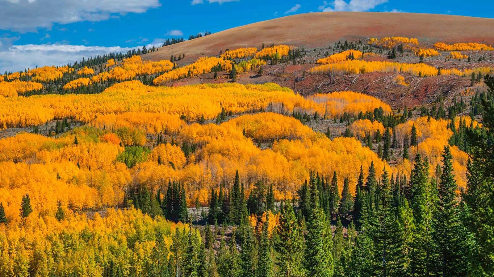 Fall colors pop around Sublette County, Wyoming.