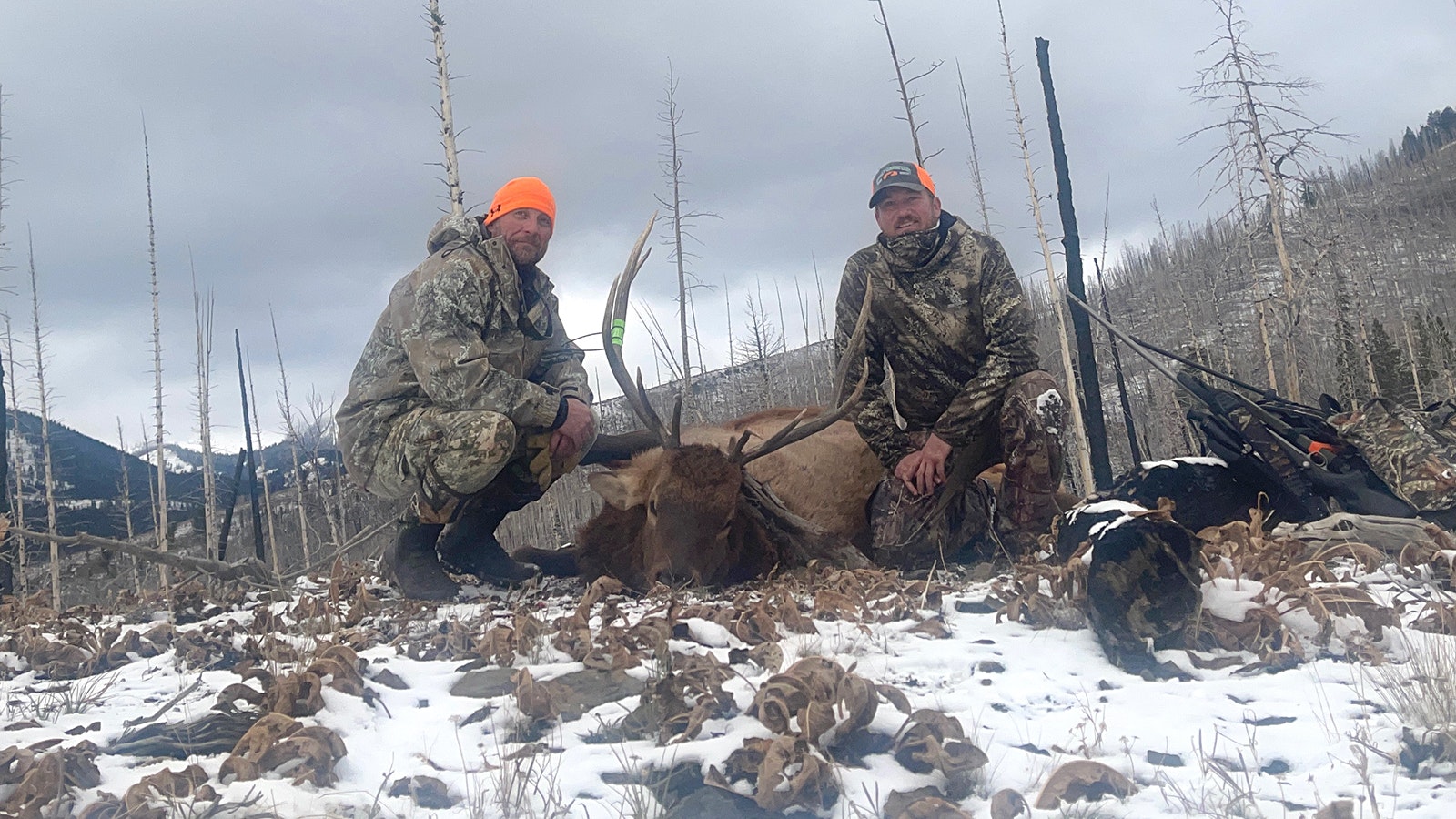 With deer and antelope numbers down severely in Sublette County this year, elk hunting should still be great, particularly in the mountains.