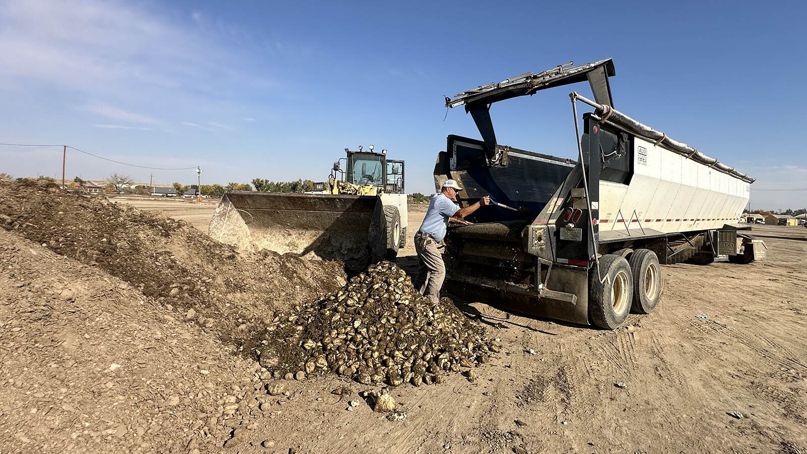 Usually, the excess dirt from each load is brought back to the family farm but since Jim Miller is picking up a load of sugar beet pulp to feed their sheep, he cleaned out his truck and the dirt is discarded by the Wyoming Sugar Co.