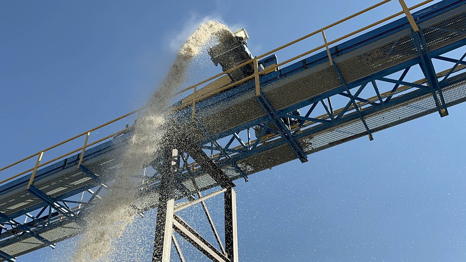 The sugar beet pulp is the final step at the Wyoming Sugar Co. After the sugar is processed, the sugar beets are shredded and these shreds are then sold to farmers, such as Jim Miller, who will feed them to their sheep and cattle.