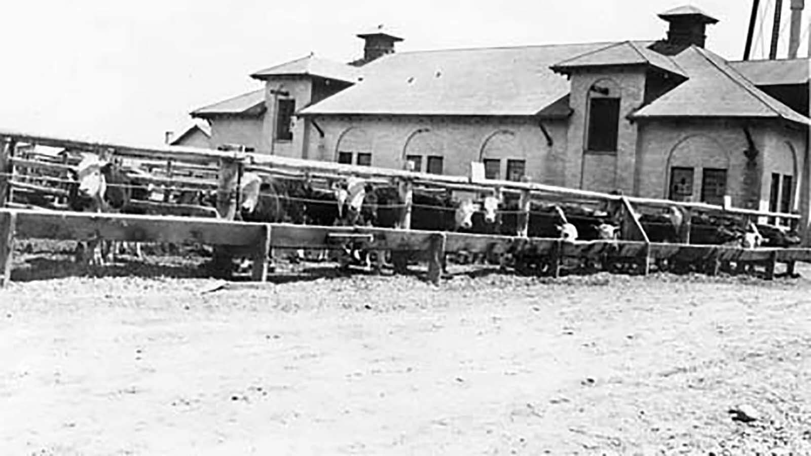 During the Depression Era of the 1930s, the Industrial Institute housed young male felons and put them to work with their cattle, in the gardens and at the canning factory. They were expected to learn life skills and earn their keep. It was too much for a young man known simply as Sunshine in 1932. He convinced three other boys to join him and they escaped, heading to the mountains outside of Meeteetse.