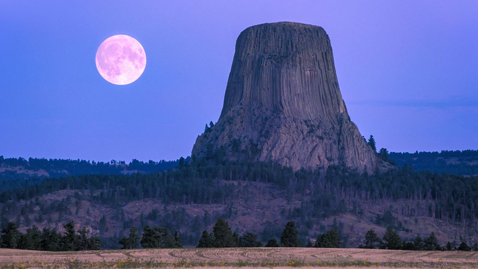 A supermoon hovers low to the horizon with Devils Tower in the foreground in this file photo.