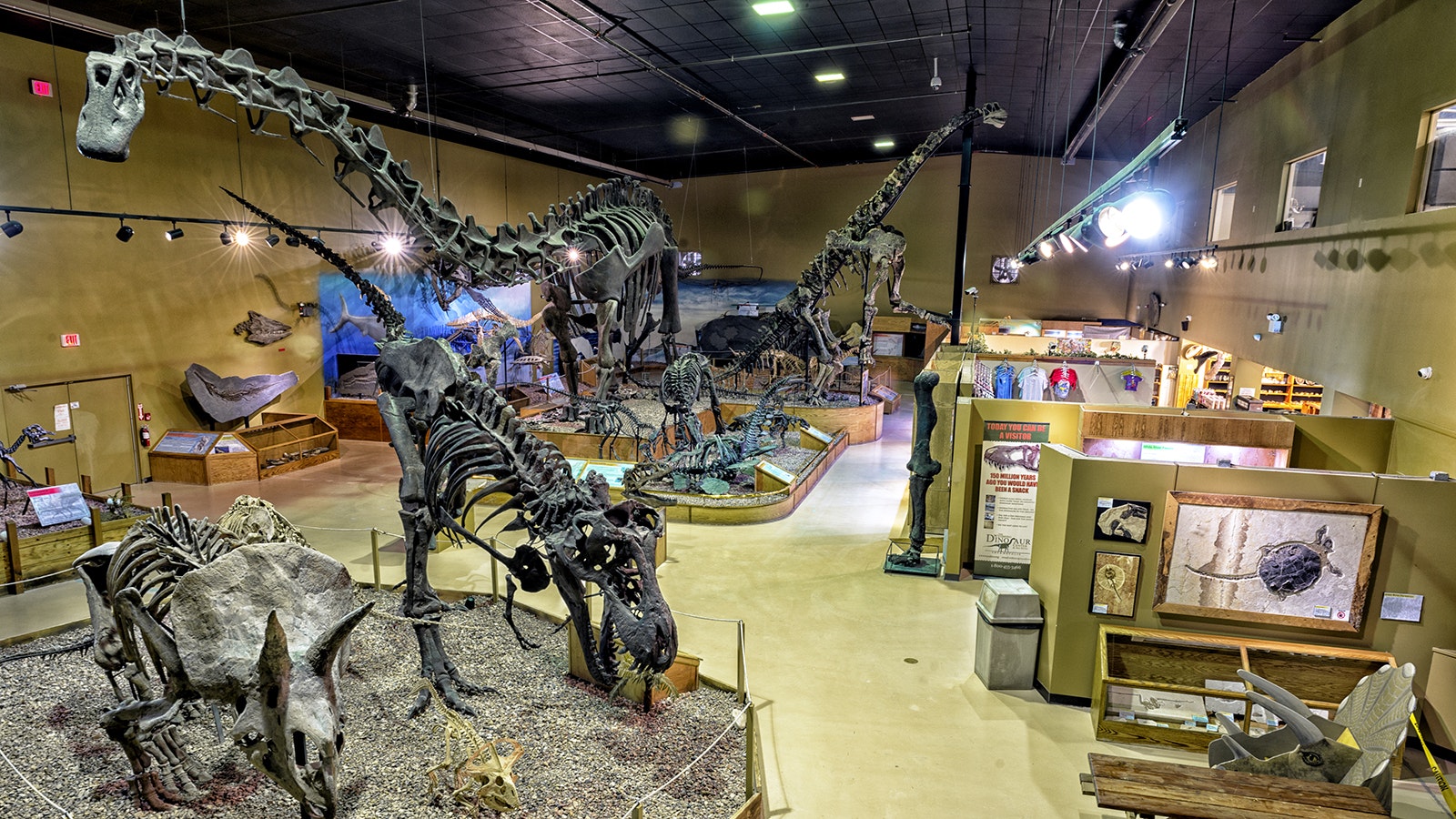 Jimbo the supersaurus, the long-necked behemoth at the top left, is the largest dinosaur ever found in Wyoming. It's on display at the Wyoming Dinosaur Center in Thermopolis.