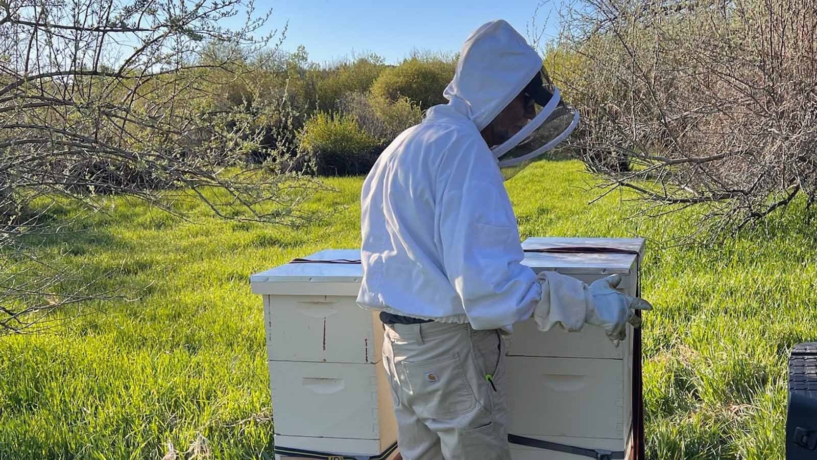 Susan Frost is a retired NASA research scientist who took up beekeeping for a hobby and later created her own business Queens of Goodness. The Lander resident is pictured with informational posters she made for National Honey Bee Day.