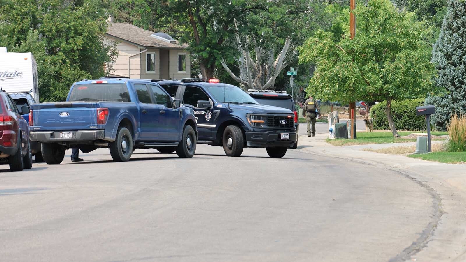 A law enforcement officer with a dog walks down Indian Paintbrush Street toward the intersection with Aster Street.
