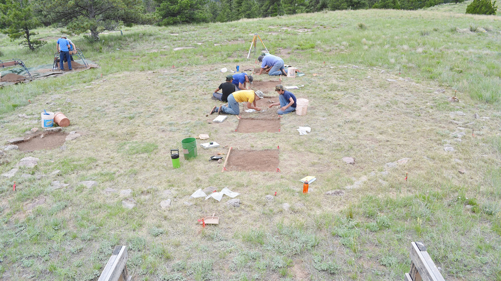 Sutton site 1 2 4 23