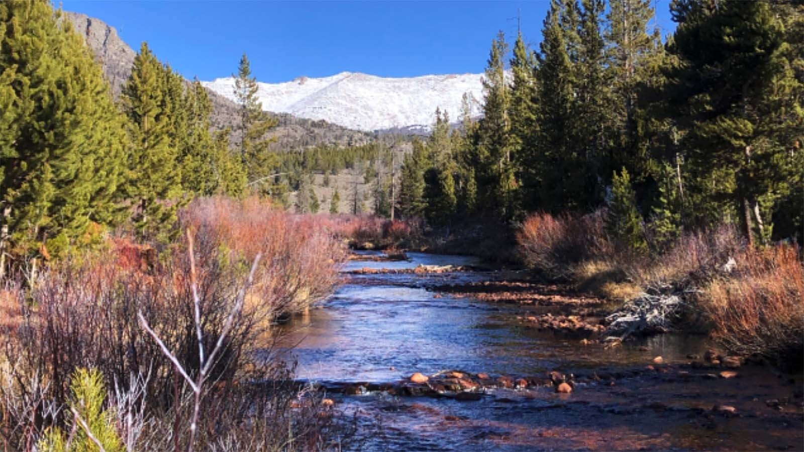Hunters found separated human bones scattered in a remote area near the Sweetwater Guard Station Campground in western Wyoming, the Sublette County Sheriff’s Office reported Wednesday. The bones appear to have been there for about five years.