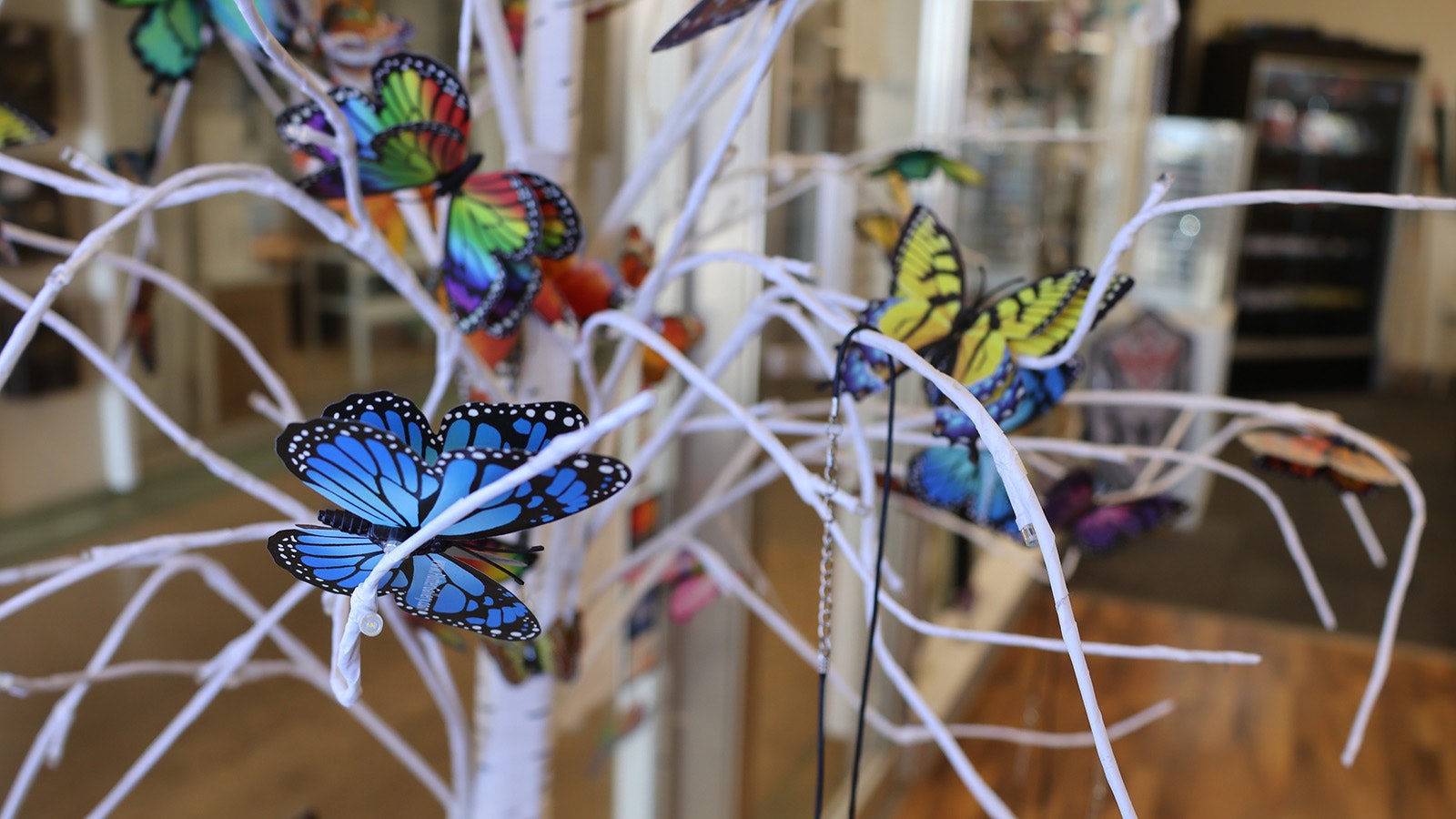 Glow-in-the dark butterflies are some of the few non-sharp objects available for sale at Sword-N-Stones specialty shop.