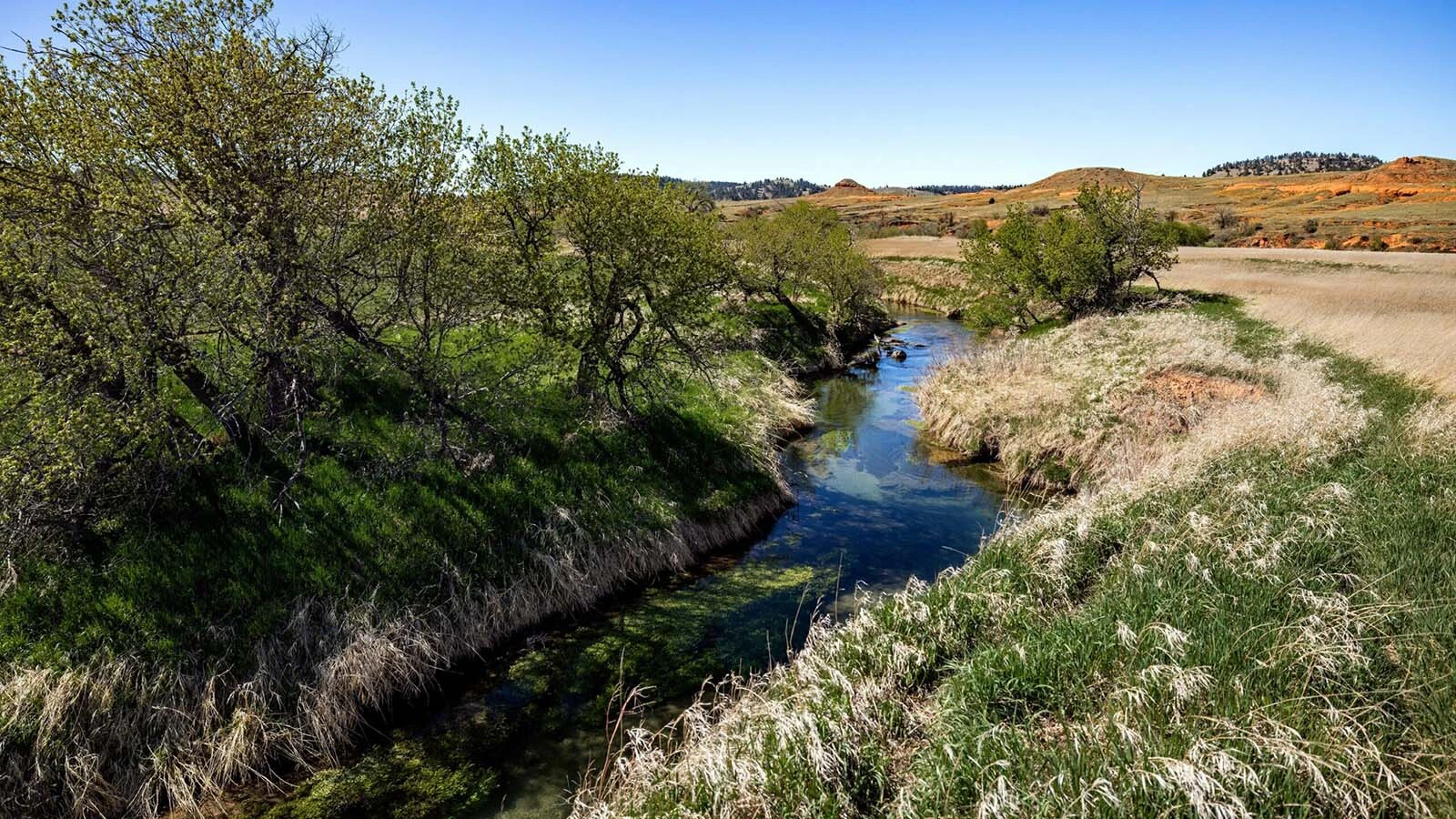 A Crook County ranch with almost a century of history has hit the market for $5 million. It comes with a historic homestead, 7,500-square-foot mansion, a trout stream, views of red bluffs and access to the Black Hills of Wyoming and South Dakota. 