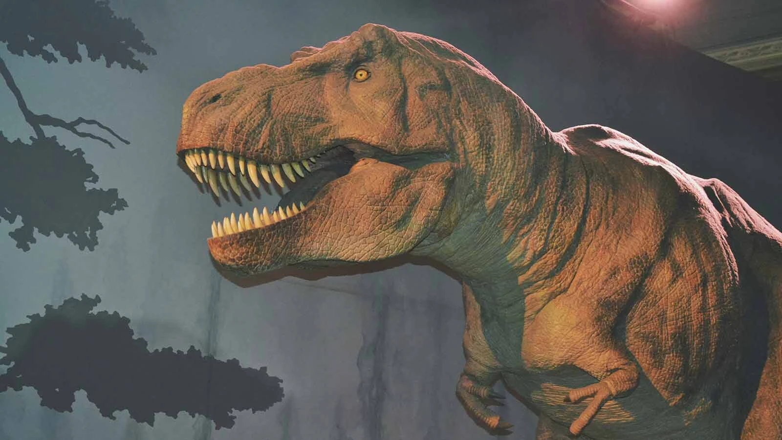 An animatronic Tyrannosaurus rex on display at the Natural History Museum in London, England. The new insights from the exceptional skeleton of "Rex Junior" are poised to change what paleontologists thought about how T. rex looked when it was alive during the Late Cretaceous Period, 67 million years ago.