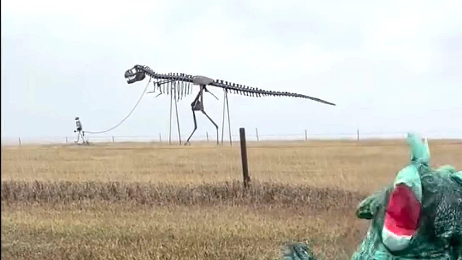 For decades, motorists speeding down Interstate 90 in west-central South Dakota have done double takes at a towering human skeleton leading a T. rex on a leash. It’s a quirky prairie creation born from one man’s lifelong dream to build his own dinosaur.