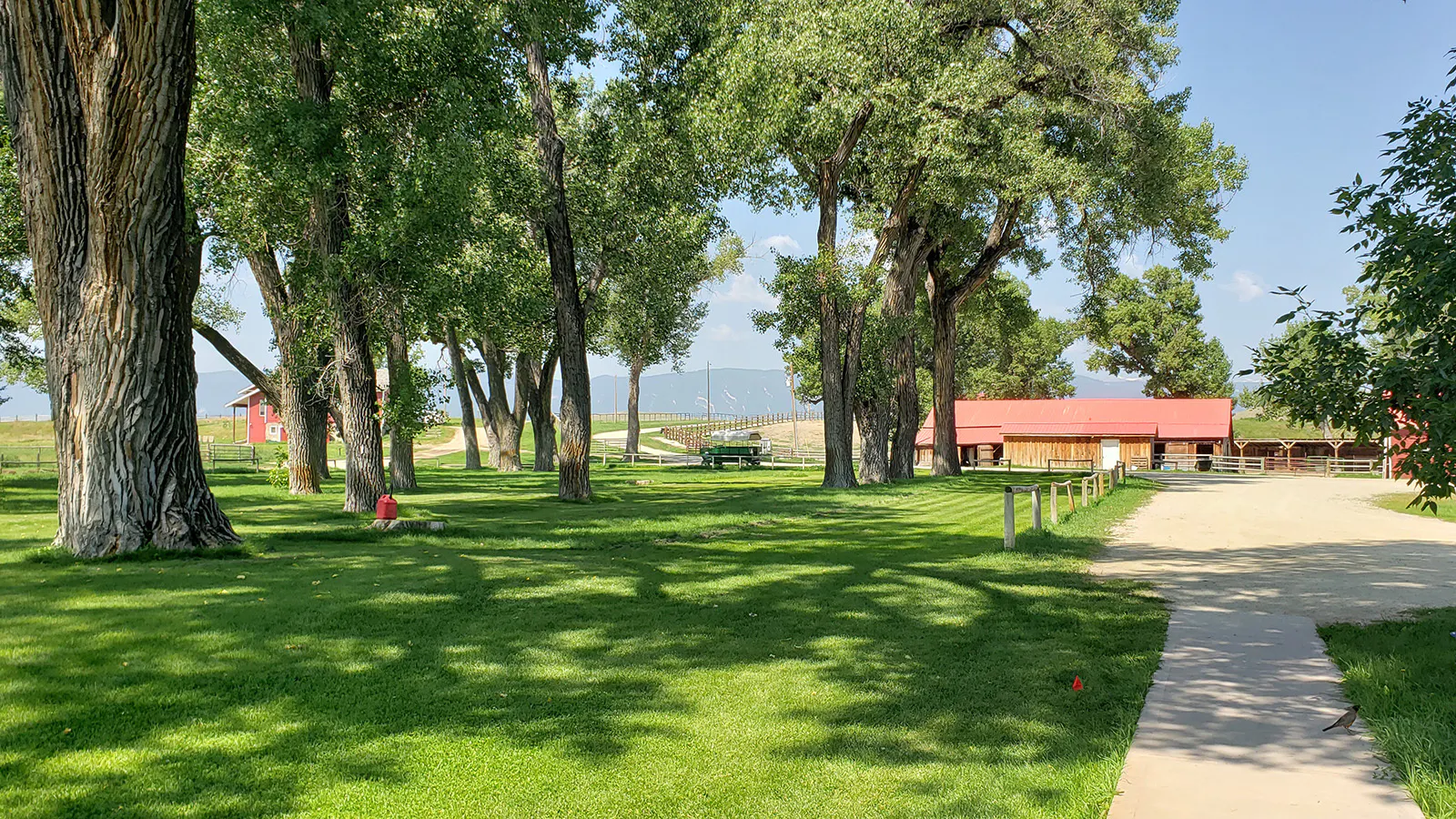 Buffalo’s TA Guest Ranch Preserves Wild West Legacy On Working Cattle ...