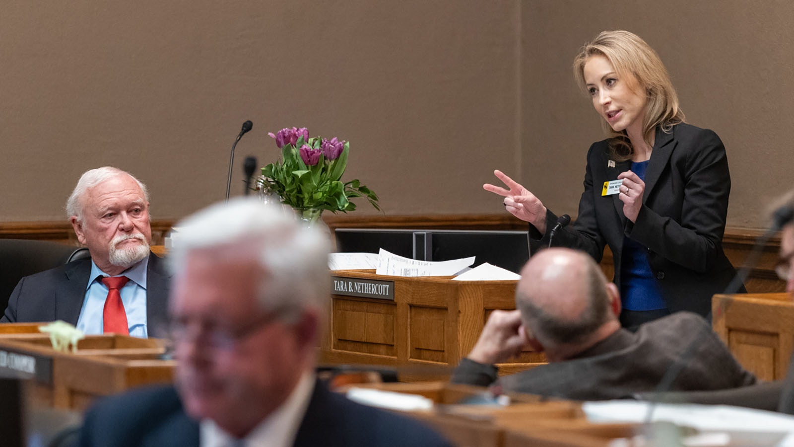 Sen. Tara Nethercott took a leading role on the Senate floor Friday during a final push to approve the budget.
