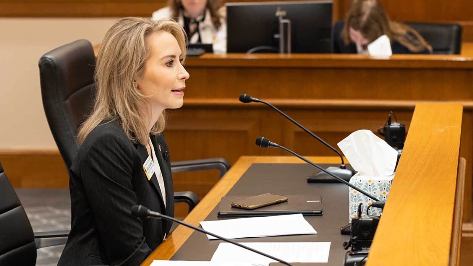 Sen. Tara Nethercott, R-Cheyenne, testifies for the House Judiciary Committee on Monday, March 2, 2026.