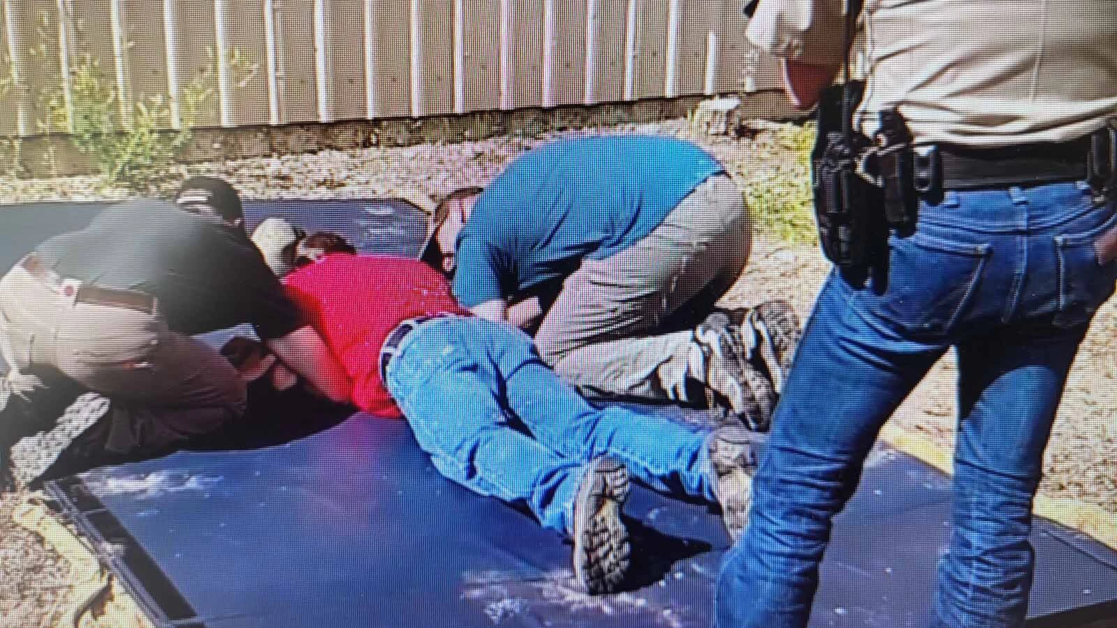 Wyoming Game and Fish Large Carnivore Coordinator Brian DeBolt volunteered to be hit with a taser, so he understands what wild animals hit with tasers go through.
