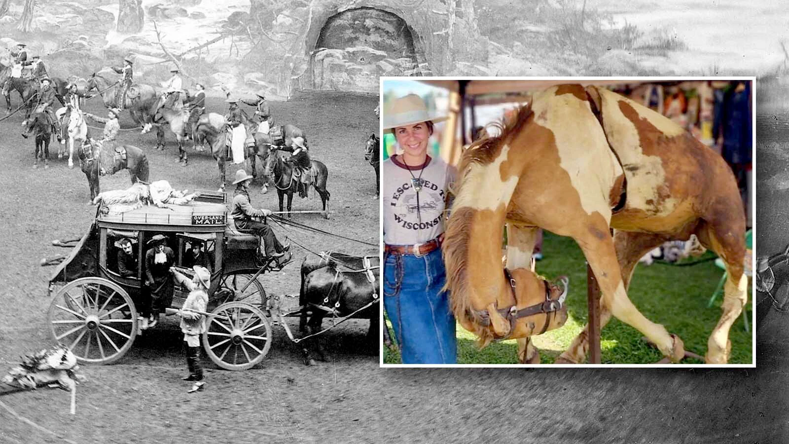 When Mitzi Lukowski bought an old taxidermy horse, she was told it has ties to the Spanish American War, Roosevelt’s Rough Riders and that it might have been in Buffalo Bill’s Wild West Show. “I think there’s a story to this horse,” she said. “I just don't know what it is.”