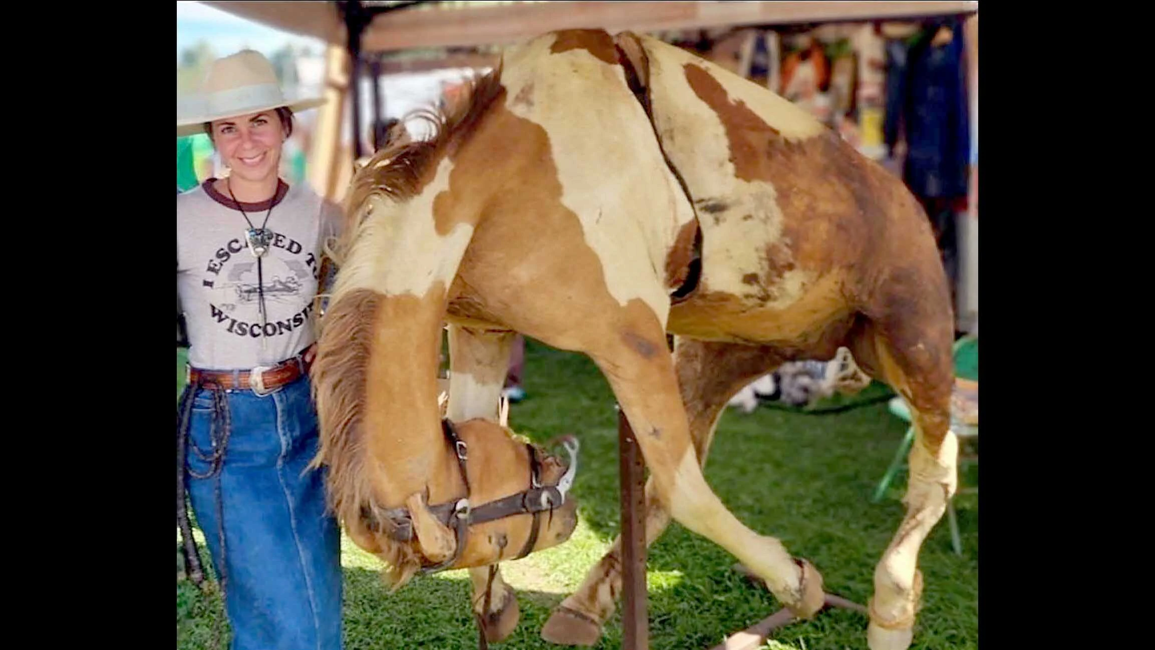 Mitzi Lukowski poses with the mysterious taxidermied paint horse she bought several years ago in New York.