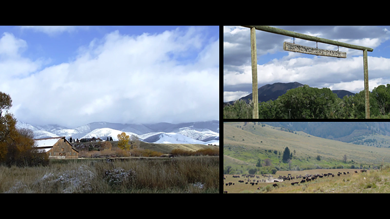 Ted Turner owned ranches in five states and about 2 million acres, including the Snowcrest Ranch in Montana.
