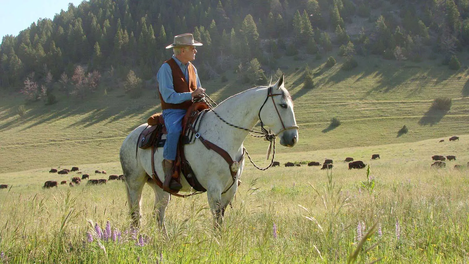 While Ted Turner owned ranches in five states and about 2 million acres, he frequently said his favorite place was his Flying D Ranch in Montana.