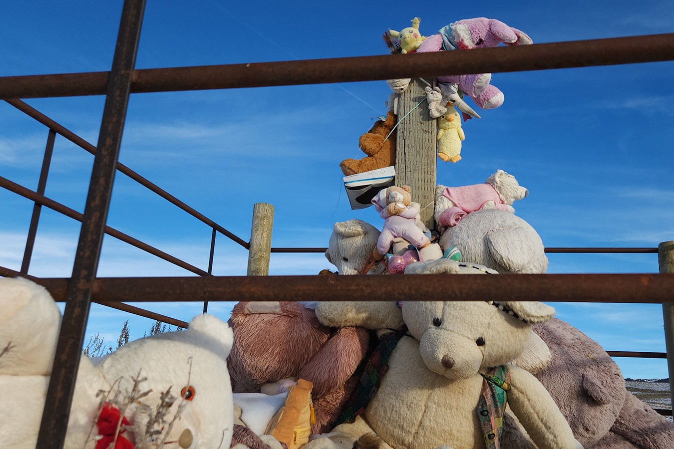 A recent group of local volunteers built a fence around Teddy Bear Corner and replaced its post, preserving the spot for another century.