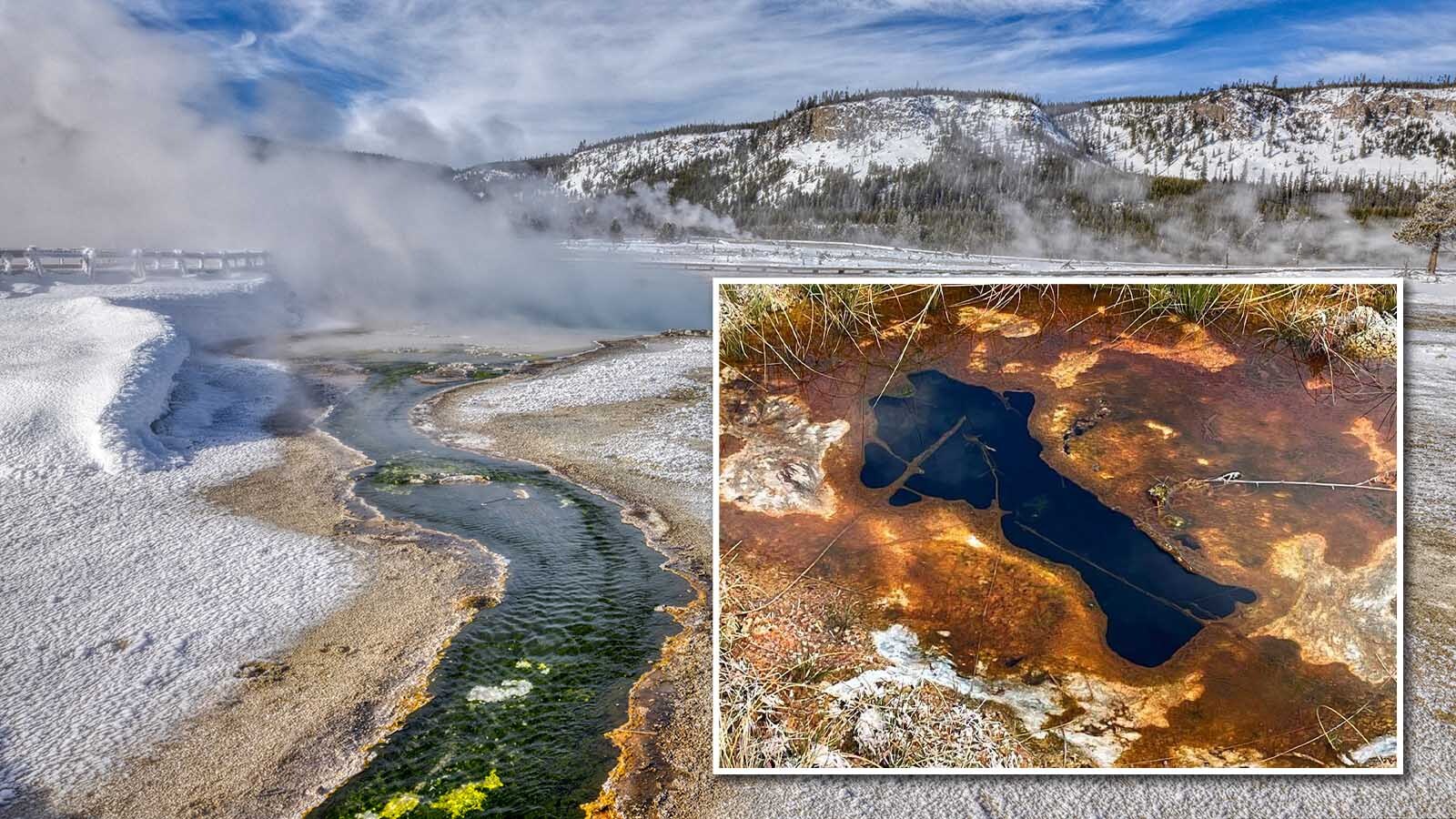 A widespread bacteria called "soap scum" grows in Yellowstone National Park's thermal pools that on the surface doesn't seem that unique. Ongoing studies into this complex organism are revealing that how it survives might also help humanity survive.