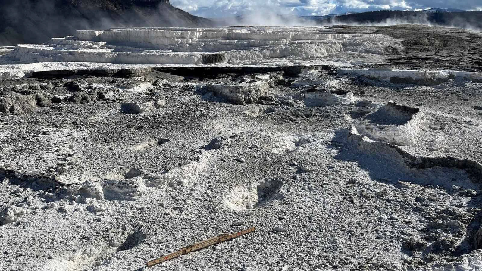 A 50-year-old Texas man who did “significant” damage when he walked on several Yellowstone National Park thermal features was sentenced to jail time, the U.S. Attorney for the District of Wyoming announced Thursday. The extensive trail of footprints he left behind could be there for decades. Above, some of the footprints push up to 12 centimeters into the delicate crust surrounding the thermal features.