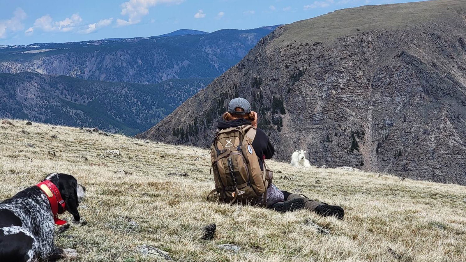 Tessa Fowler of Cody and her blue tick hound dog Warden are frequently in the Wyoming high country, looking for Rocky Mountain goats and bighorn sheep.