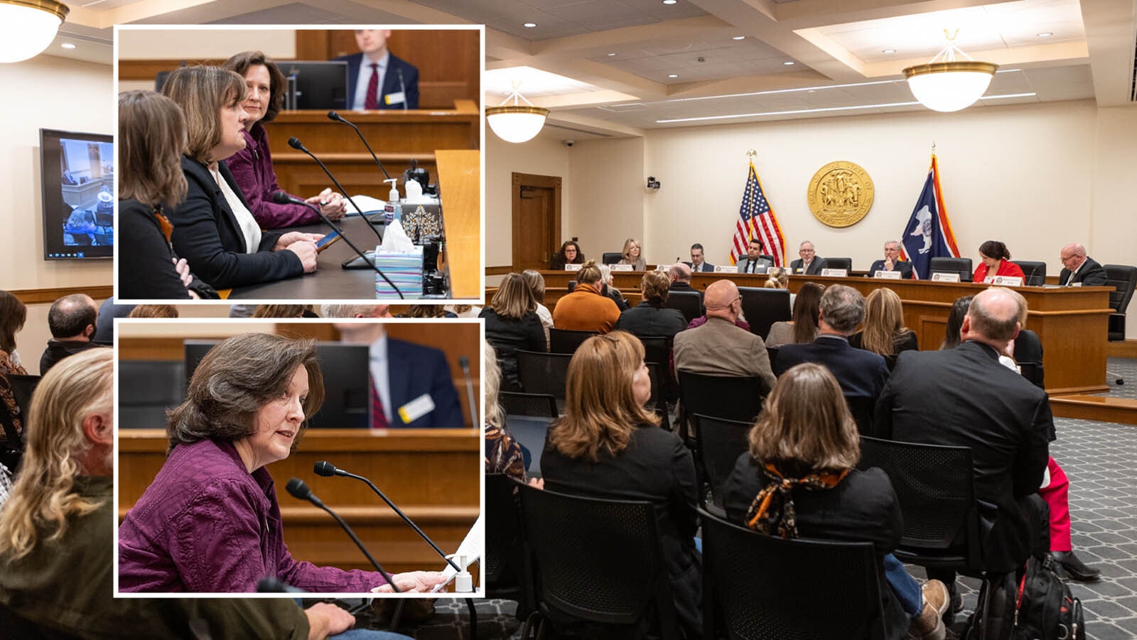 Campbell County Library District board member Sage Bear, top, tesitifies in favor of an obscenity bill Monday, Feb. 3, 2025. Anita Marple, Fremont County Library System director, bottom, testifies against it.