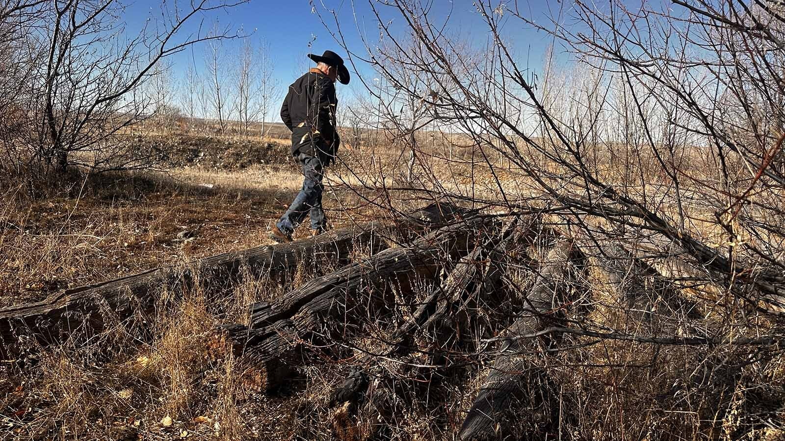 In 1885, Johnson County Sheriff Frank Canton rode up to a cabin just before dawn to arrest the notorious horse thief, Teton Jackson. The logs from the cabin have been rescued and still remain as a relic to this infamous showdown that occurred in remote Hyattville over 140 years ago.